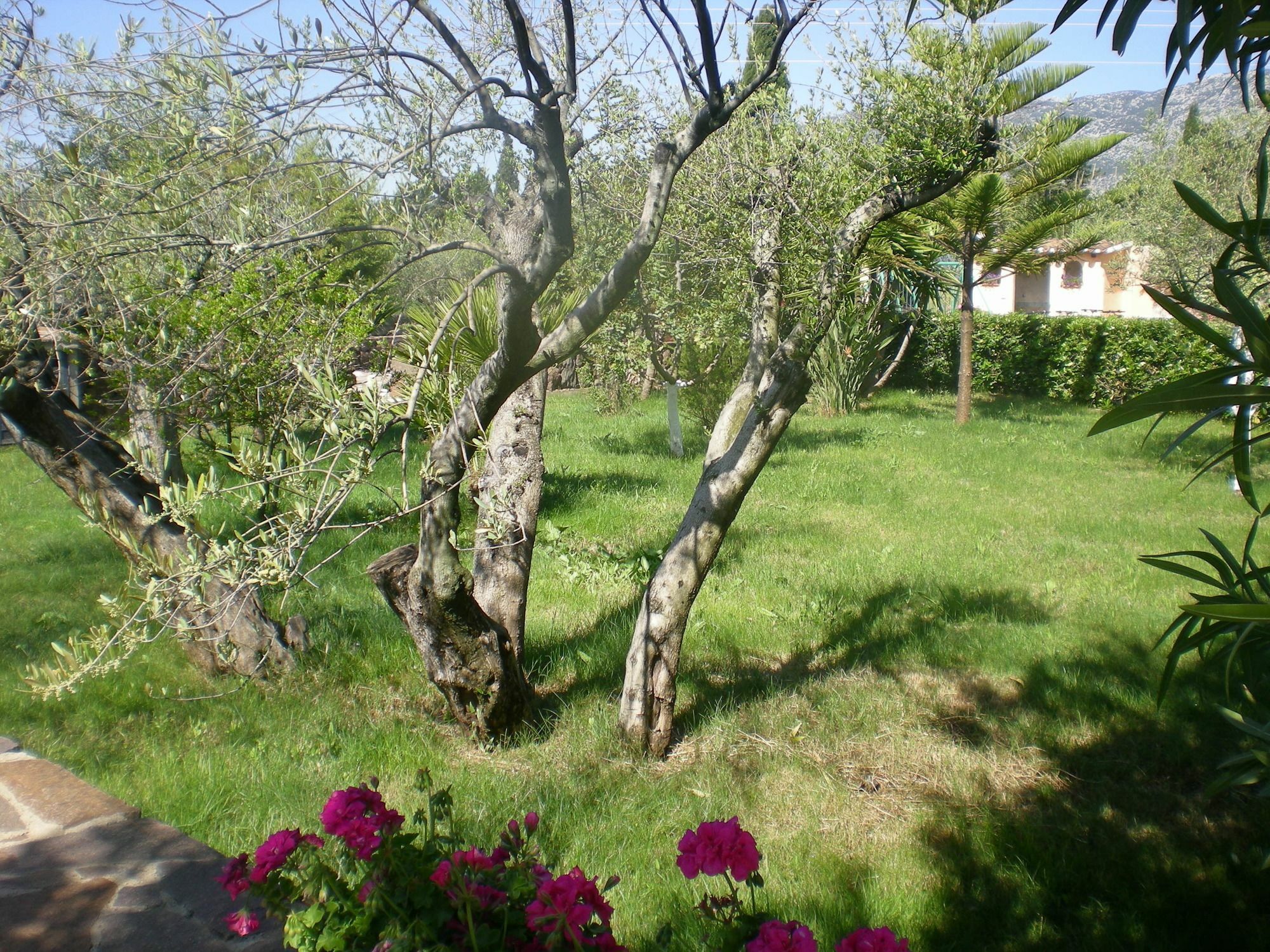 Residenza Marina Apartment Orosei Exterior foto